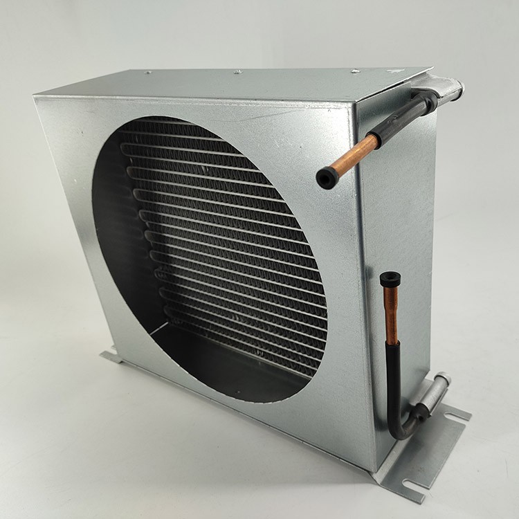 IMG20220121105055 IMG20220121105055