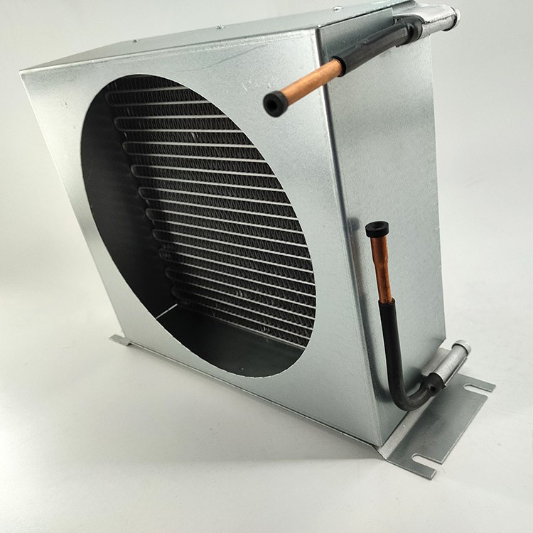 IMG20220121105051 IMG20220121105051