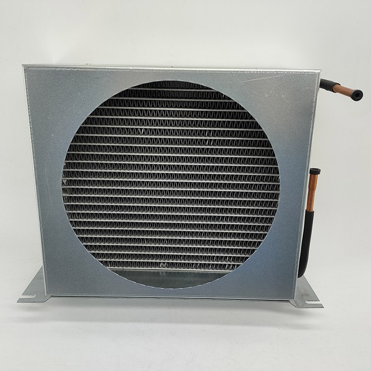 IMG20220121105110 IMG20220121105110