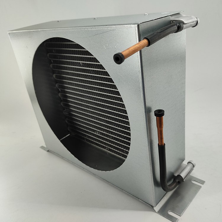 IMG20220121105049 IMG20220121105049